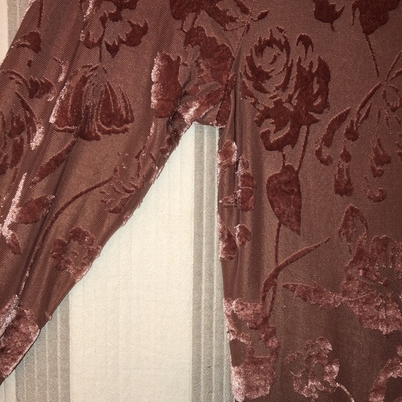 Velvet Sheer Bodysuit - Picture 5 of 12